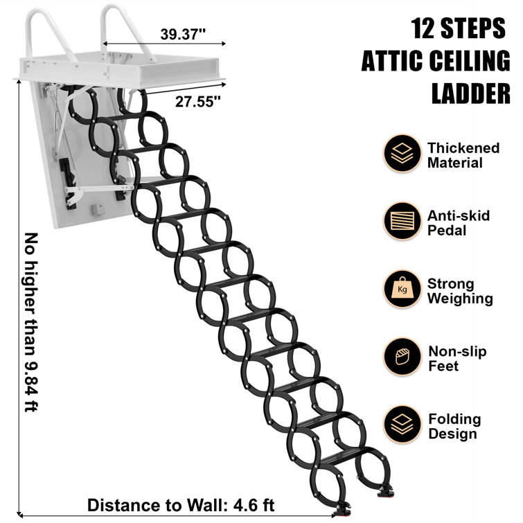 12 feet deals ladder price